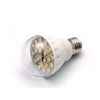 SELF-BALLASTED LED LAMPS FOR GENERAL LIGHTING SERVICES